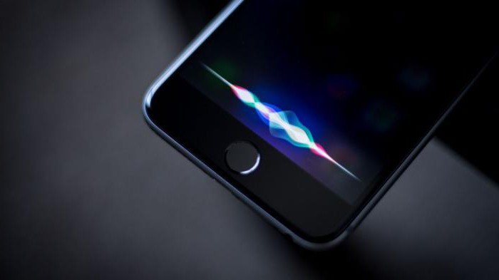 Як включити Siri на iPhone