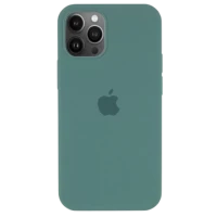 Чохол Apple silicone case iPhone 13 Pro Max Pine Green (HC)